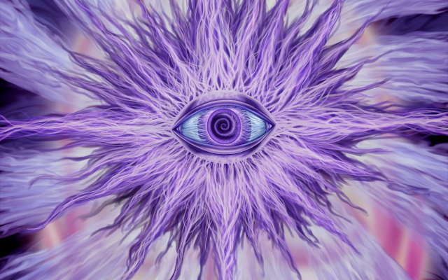 Fondos purpura
